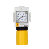 EAR-Regulator